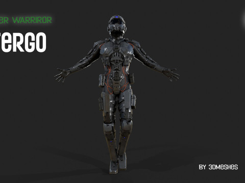 Cyber Warrior - TERGO 3D Model