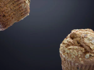 Bran Muffin with Raisins 3D Model