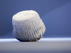 Bran Muffin with Raisins 3D Model