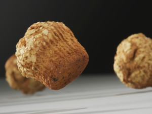 Bran Muffin with Raisins 3D 모델