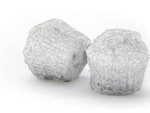 Bran Muffin with Raisins 3D 모델