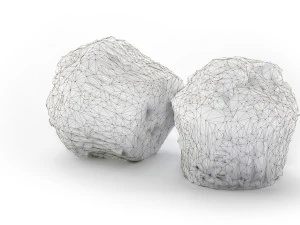 Bran Muffin with Raisins 3D Model