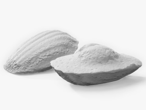 Madeleine Cookie Modello 3D