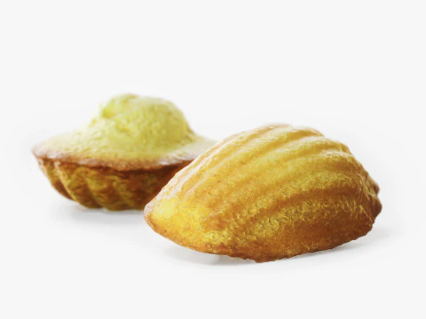 Madeleine Cookie 3D Model