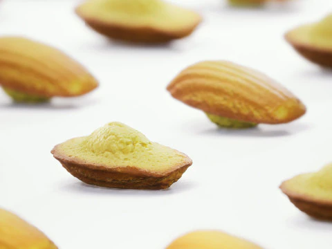 Madeleine Cookie 3D Model