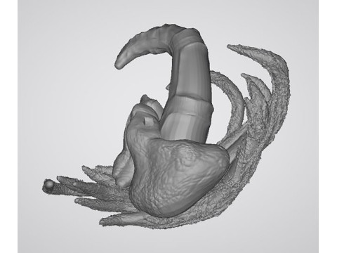 Nelliel Tu Odelschwanck 3Dプリントモデル