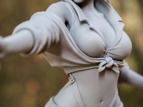 Faye Valentine - Cowboy Bebop 3D Print Model