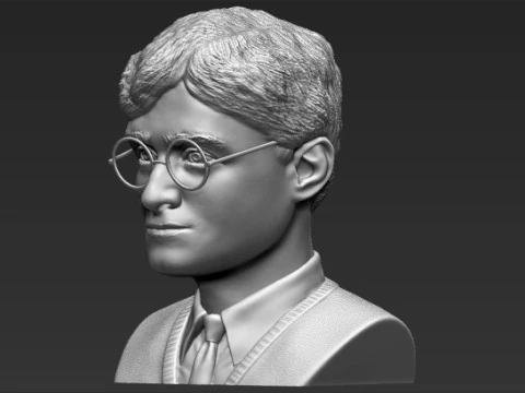 Harry Potter Bust 3D Print Model