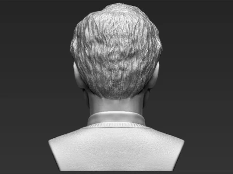 Harry Potter Bust 3D Print Model