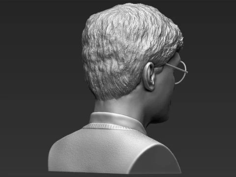 Harry Potter Bust 3D Print Model