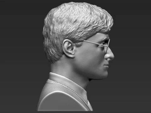Harry Potter Bust 3D Print Model
