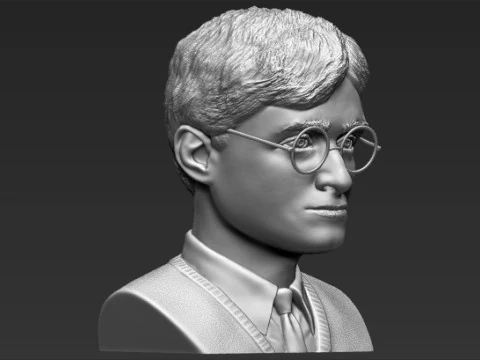 Harry Potter Bust 3D Print Model