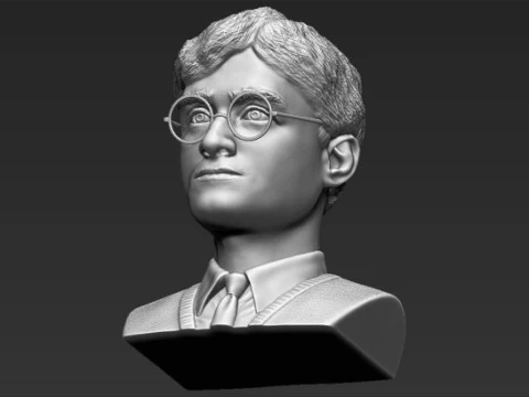 Harry Potter Bust 3D Print Model