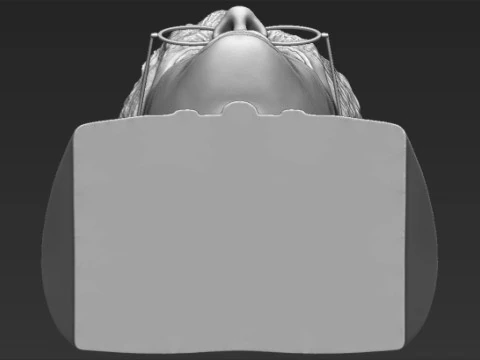 Harry Potter Bust 3D Print Model