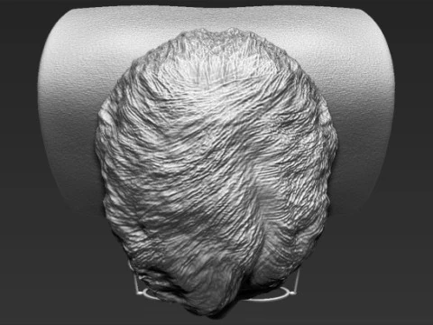 Harry Potter Bust 3D Print Model