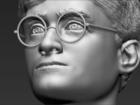 Harry Potter Bust 3D Print Model