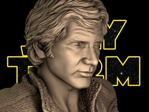 Han Solo-buste 3D printmodel