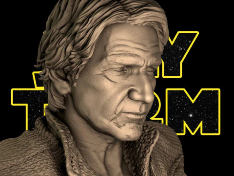 Han Solo-buste 3D printmodel