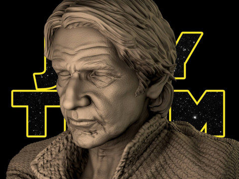Han Solo Bust Modelo de Impressão 3D