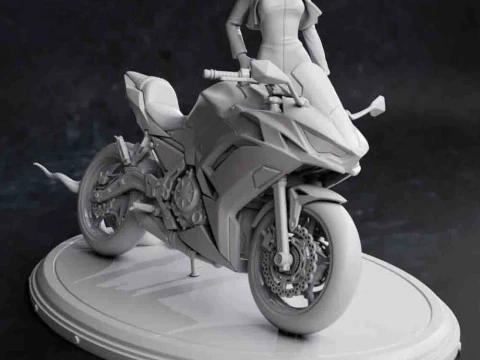Misato - Neon Genesis Evangelion 3D Print Model
