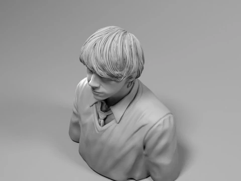 Ron Weasley - Harry Potter 3D Print Model
