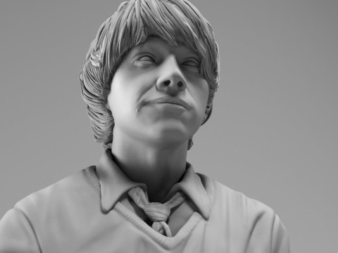 Ron Weasley - Harry Potter 3D Принт Модель