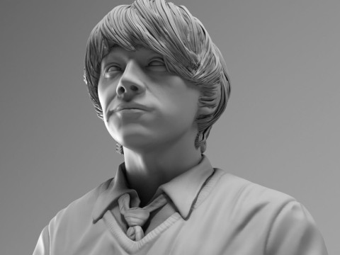 Ron Weasley - Harry Potter 3D Принт Модель