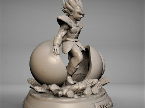 Vegeta in Capsule 3D 프린트 모델