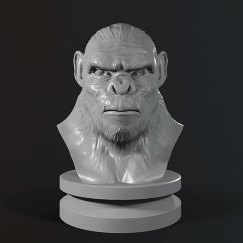 Koba Monkey Bust 3D printmodel .c4d .max .obj .3ds .fbx .stl .blend