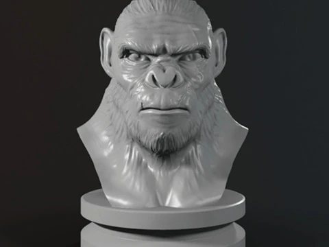 Popiersie małpy Koby Model do druku 3D