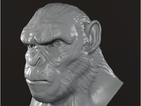 Koba Monkey Bust 3D printmodel