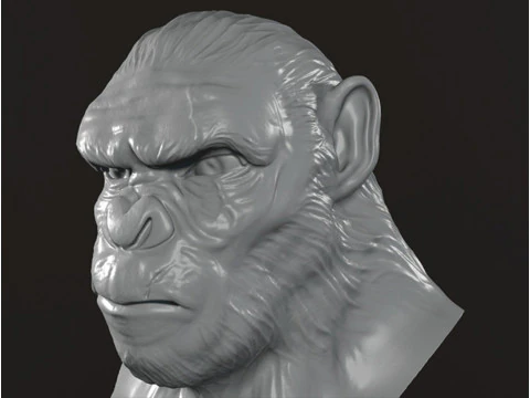 Koba Monkey Bust 3D Print Model