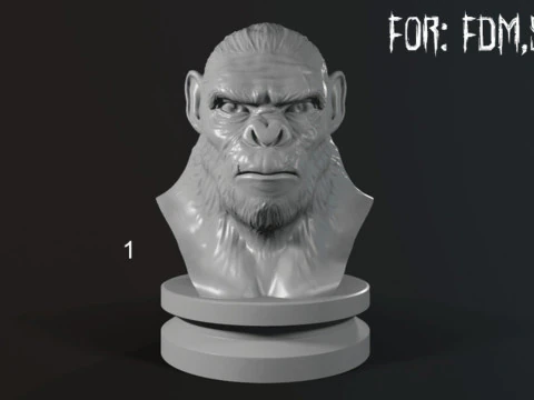 Koba Monkey Bust 3D Print Model