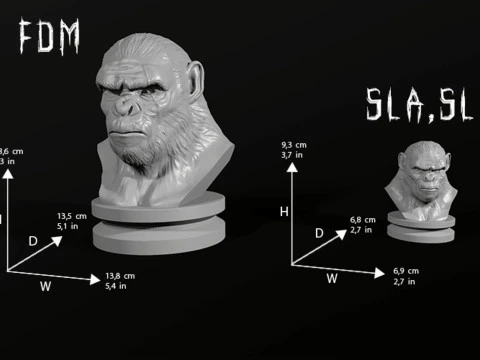 Koba Monkey Bust 3D Print Model