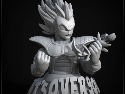 Vegeta 9000'den Fazla Göğüs 3D Baskı Modeli