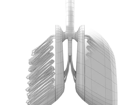 Sci-Fi Artificial Lungs 3D Model