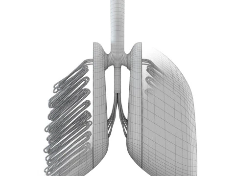 Sci-Fi Artificial Lungs 3D Model
