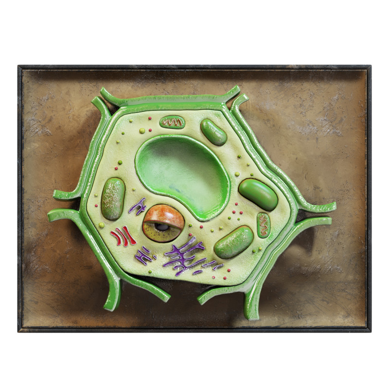 Plant Cell Lab Model 3D Model .c4d .max .obj .3ds .fbx .stl .blend 