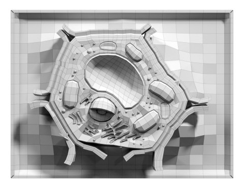 Plant Cell Lab Model 3D Model
