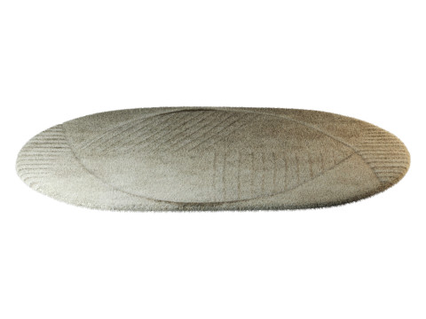 Oval Funky Rug 3D Model