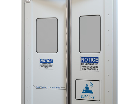 Puertas dobles de cirugía Modelo 3D