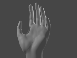Hand Model 3D