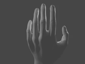 Mano Modelo 3D