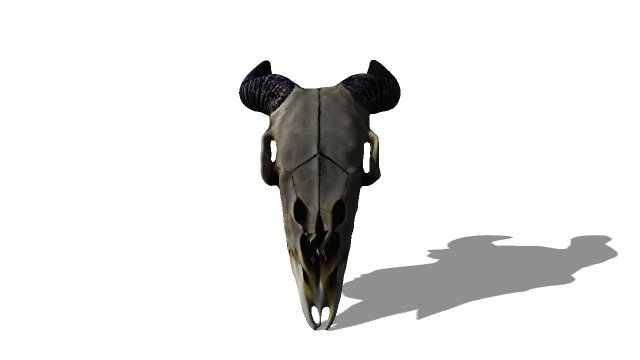 Animal Head Skull 3D मॉडल .c4d .max .obj .3ds .fbx .stl .blend 