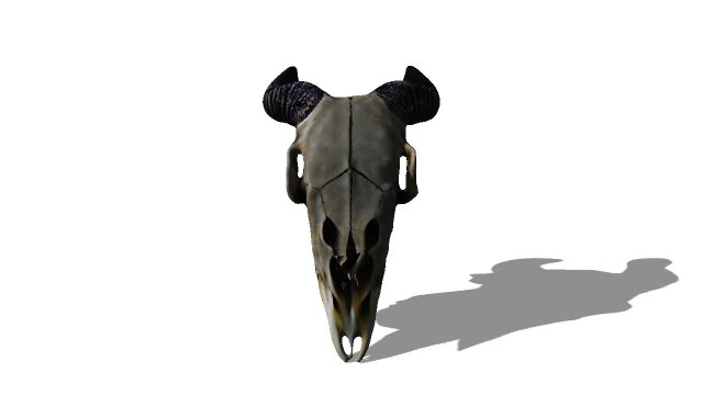 Череп голови тварини 3D Модель .c4d .max .obj .3ds .fbx .stl .blend 