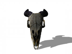 Animal Head Skull 3D Model
