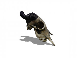 Animal Head Skull 3D मॉडल
