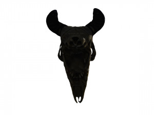 Animal Head Skull 3D मॉडल