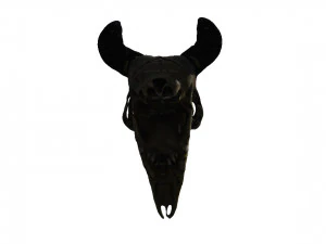 Череп голови тварини 3D Модель