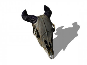 Animal Head Skull 3D मॉडल